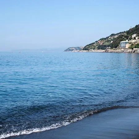 Palmaro *